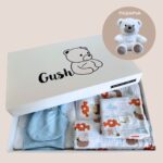 Пакет подаръци за бебе Gush 4